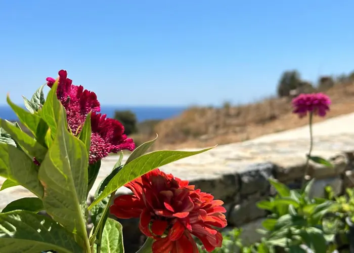 Tatil Evi Thea Vouno