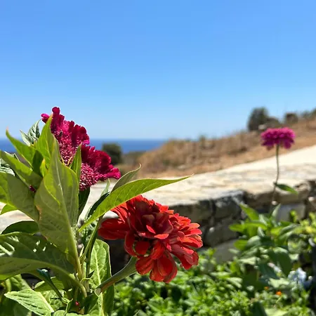 Σπίτι διακοπών Thea Vouno